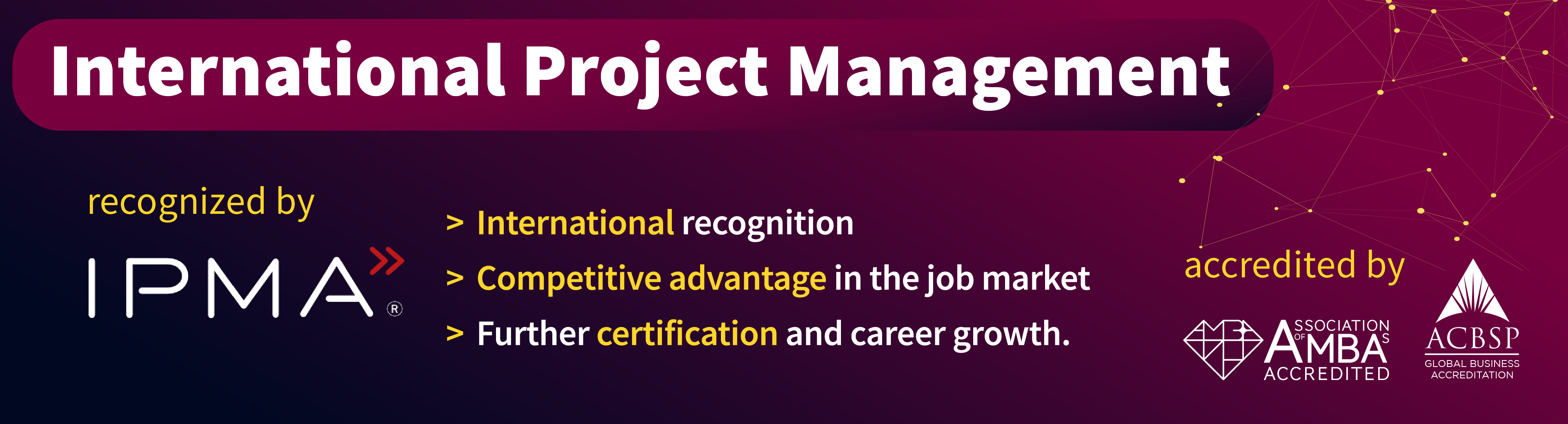 International project management EN