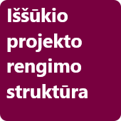Verslo iššūkio rengimo struktūra