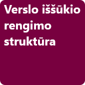 Verslo iššūkio rengimo struktūra